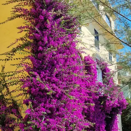 مكان تخييم 4 Or 6 Persons Toscana Viareggio Bosco Italie