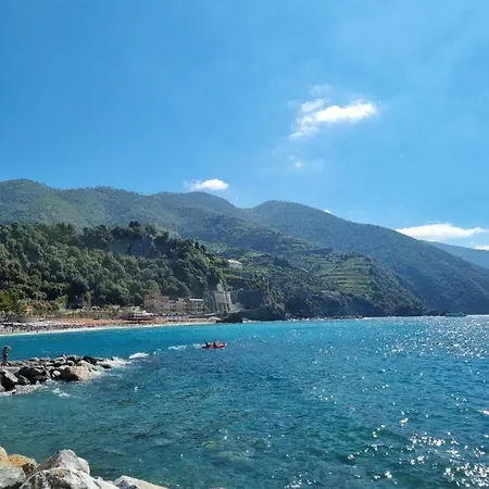 Campsite 4 Or 6 Persons Toscana Viareggio Bosco Italie Torre del Lago Puccini