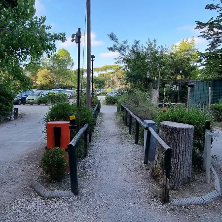 Campsite 4 Or 6 Persons Toscana Viareggio Bosco Italie *