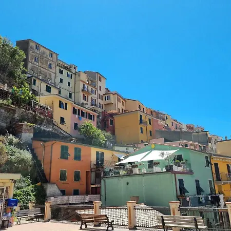Campsite 4 Or 6 Persons Toscana Viareggio Bosco Italie *