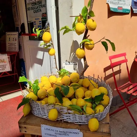 4 Or 6 Persons Toscana Viareggio Bosco Italie *