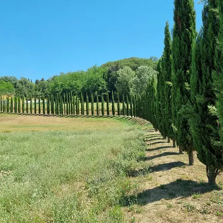 Campsite 4 Or 6 Persons Toscana Viareggio Bosco Italie