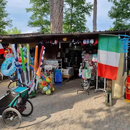 Campsite 4 Or 6 Persons Toscana Viareggio Bosco Italie