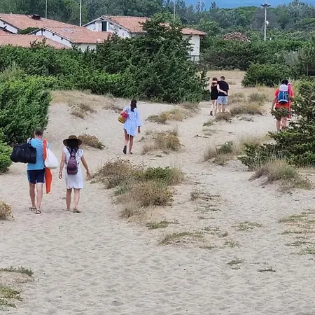 4 Or 6 Persons Toscana Viareggio Bosco Italie Kemping Torre del Lago Puccini