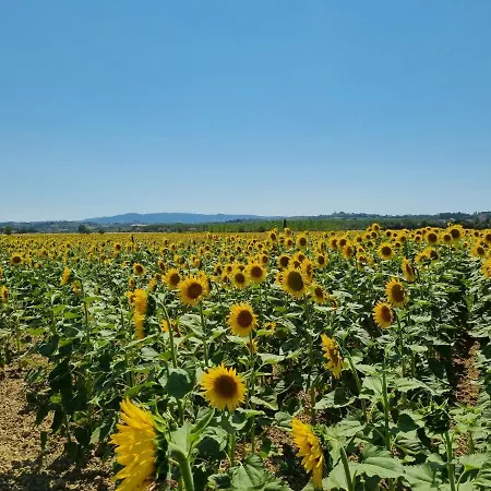 4 Or 6 Persons Toscana Viareggio Bosco Italie