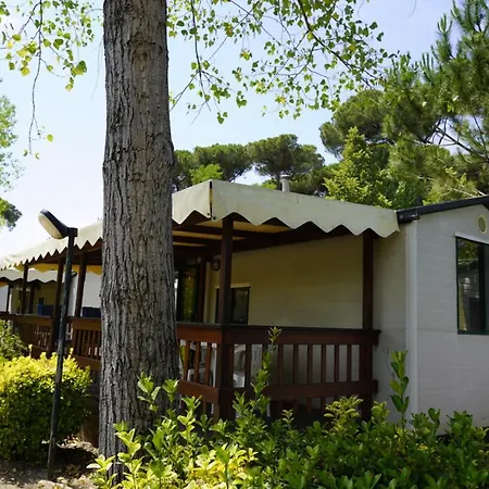 4 Or 6 Persons Toscana Viareggio Bosco Italie Torre del Lago Puccini